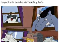 La locura en Castilla y León