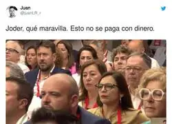 La desolación es máxima