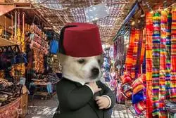 Que rabien los fascistas pero Perro Sanxe se ha bajao al moro