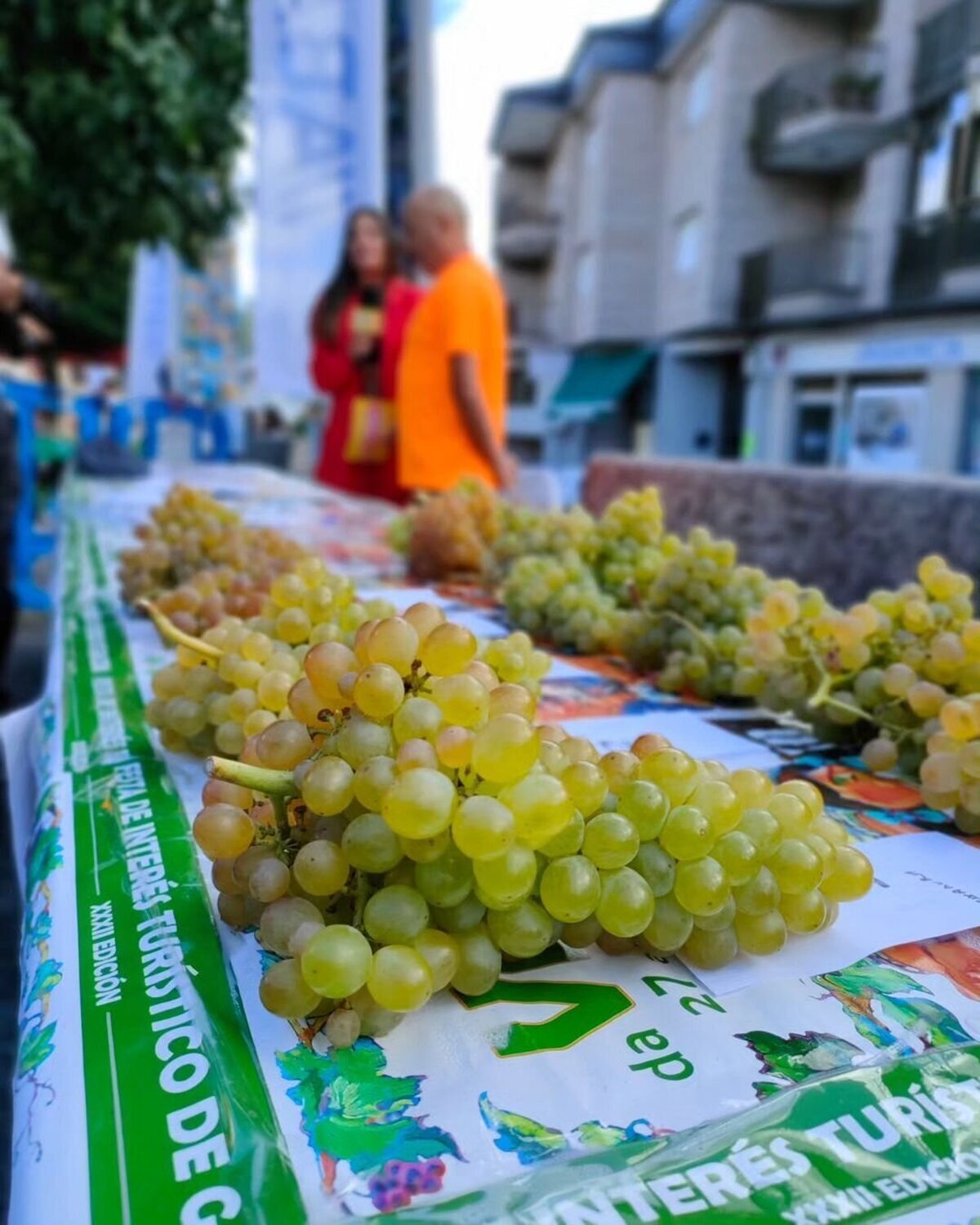 Las fiestas de la vendimia y la tradición vinícola en España