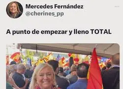 Mercedes Fernández, diputada del PP, este es el nivel
