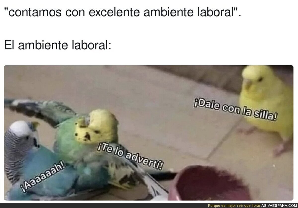 Tremenda la que hay liada