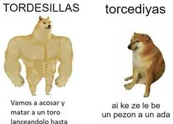 Las dos caras de Tordesillas