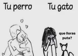 Diferencias entre perros y gatos