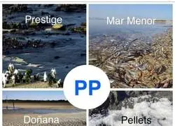 Especialistas en desastres ecol&oacute;gicos