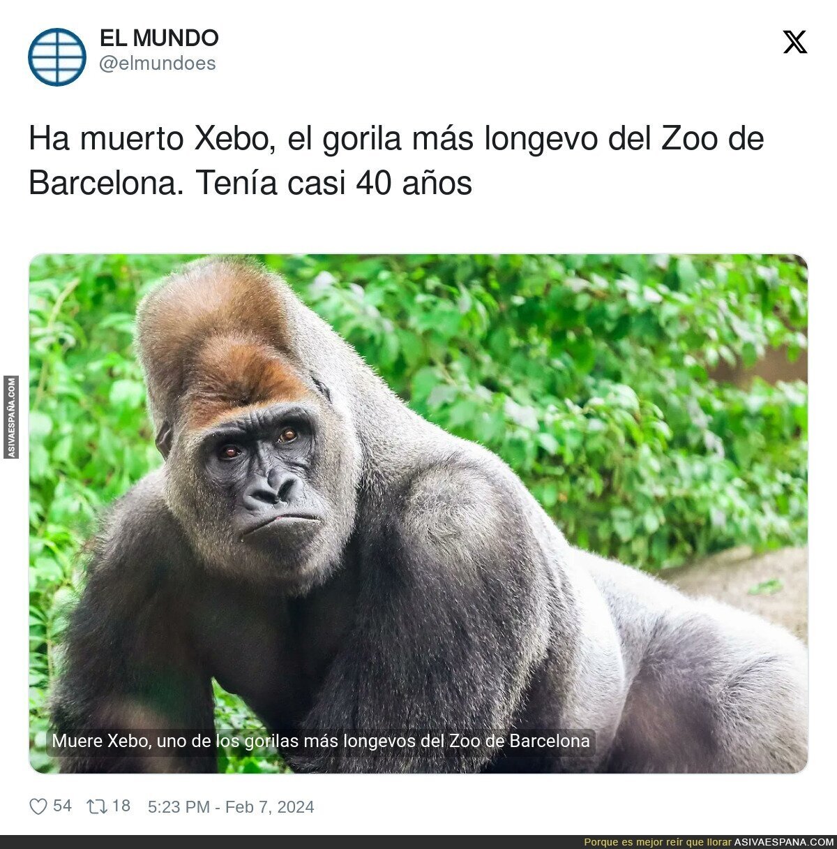 Una gran pérdida en el Zoo de Barcelona