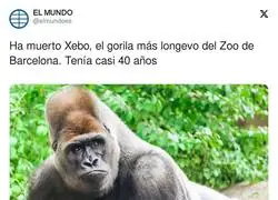 Una gran pérdida en el Zoo de Barcelona