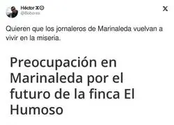 Mientras tanto en Marinaleda...
