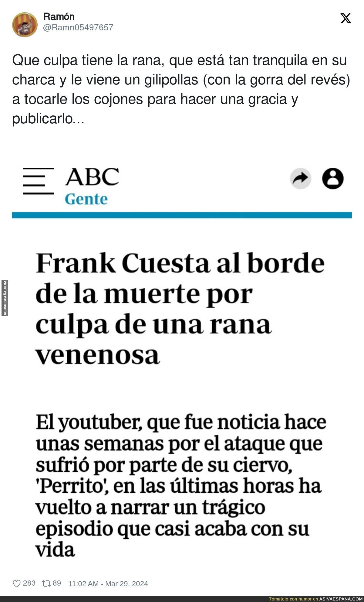 Mucho ánimo a la rana