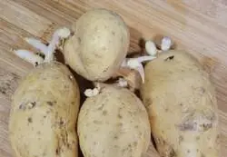 La explicación de lo que ocurre con las patatas