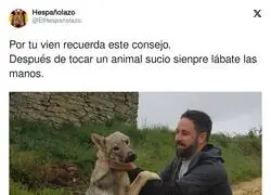 Pobre perrito