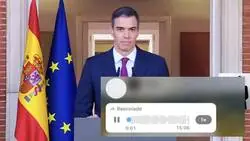 La alegr&iacute;a de esta se&ntilde;ora al saber que Pedro S&aacute;nchez no dimite