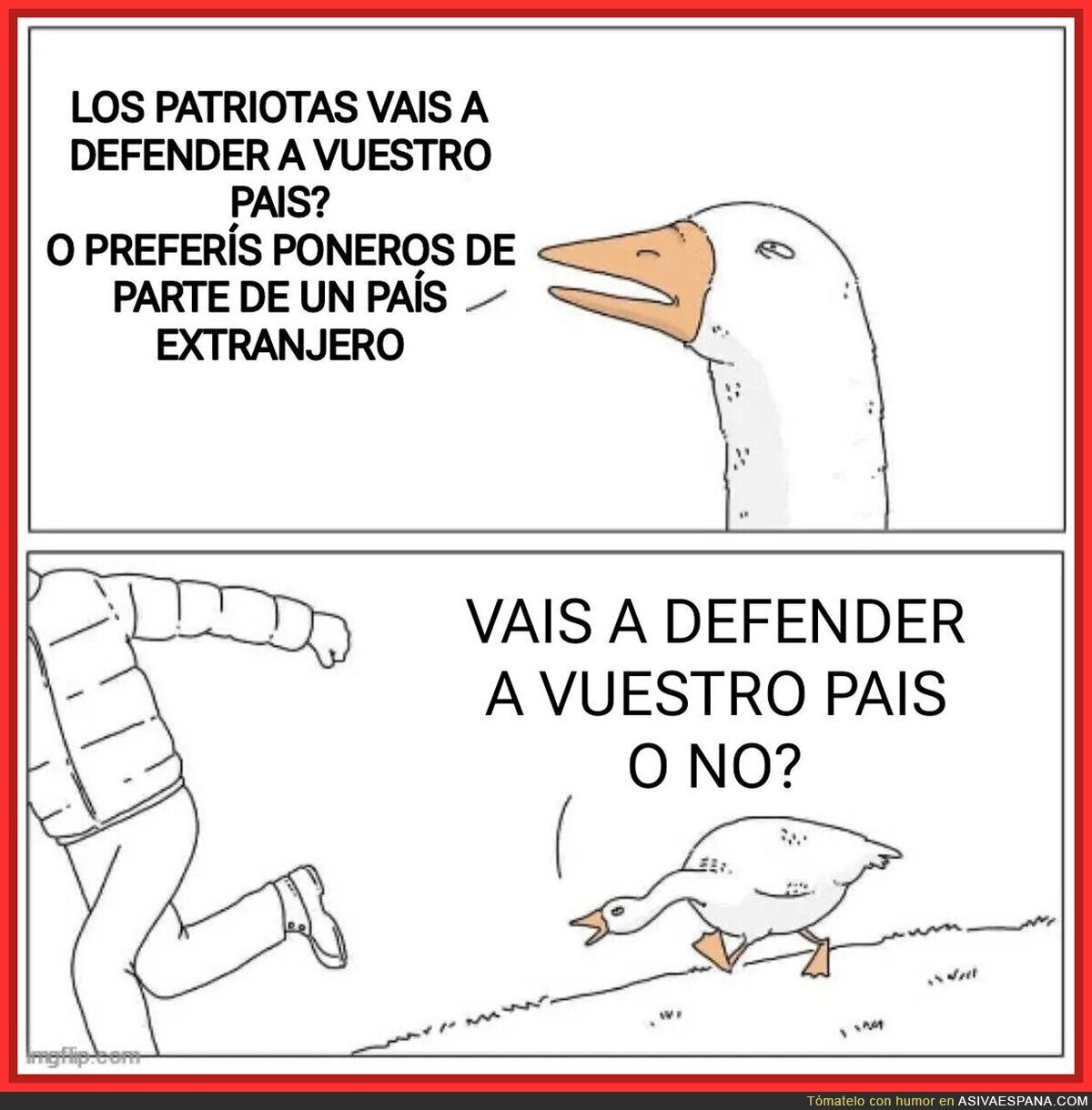 Los patriotas y la defensa al país