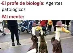 Agentes patológicos