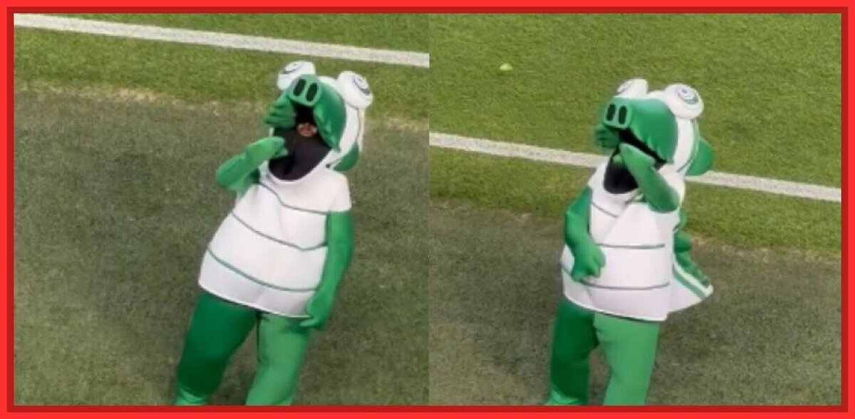 La mascota del Córdoba se ha puesto a provocar a los de la Ponferradina en pleno partido