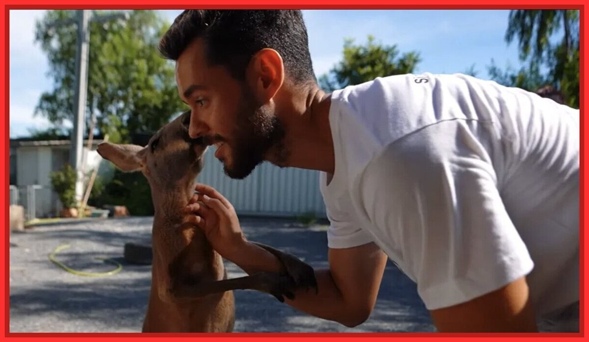 Un canguro se pone furioso con TheGrefg y Frank Cuesta tiene que rescatarlo