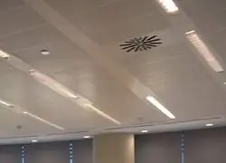 Por una vez hicimos famosa a la persona adecuada