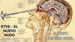 Declaraci&oacute;n institucional: Se sustituye la Palabra Fango por Extrema derecha, Pregunta del d&iacute;a: Hay que limpiar Valencia de&hellip;