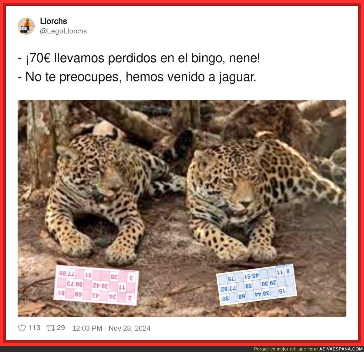 Momento de diversión