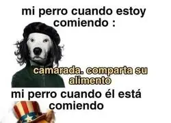 Las dos caras de un perro