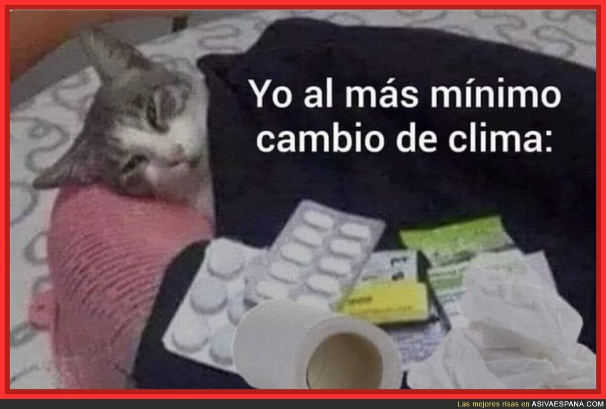 Me siento identificado