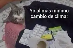 Me siento identificado