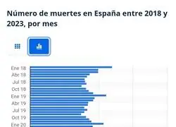 5 a&ntilde;os del primer caso de Covid-19. En los dos peores meses de pandemia, 30.000 muertes m&aacute;s de lo habituao&ccedil;l