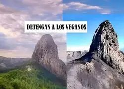 Son un peligro p&uacute;blico