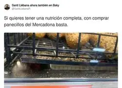 Un pan bien completo