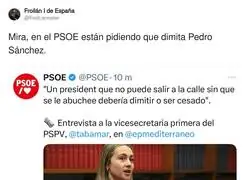 El PSOE se rebela contra Pedro S&aacute;nchez