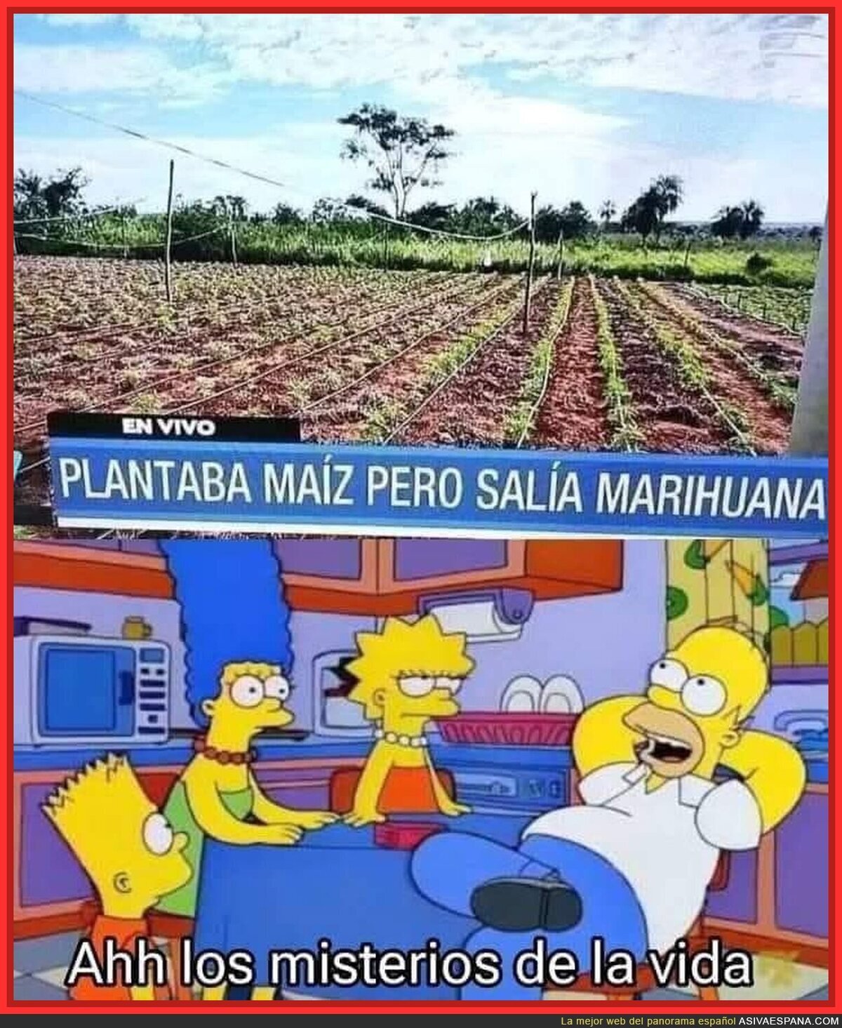 Sorpresas que te da la huerta