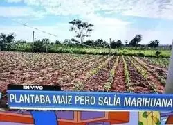 Sorpresas que te da la huerta