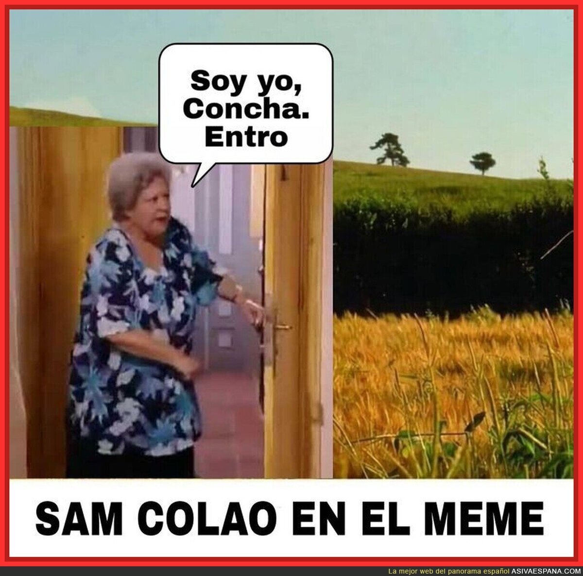 Concha adelante que no molestas