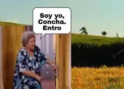 Concha adelante que no molestas