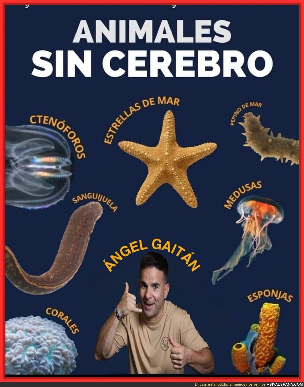 Ángel Gaitán y su IQ negativo