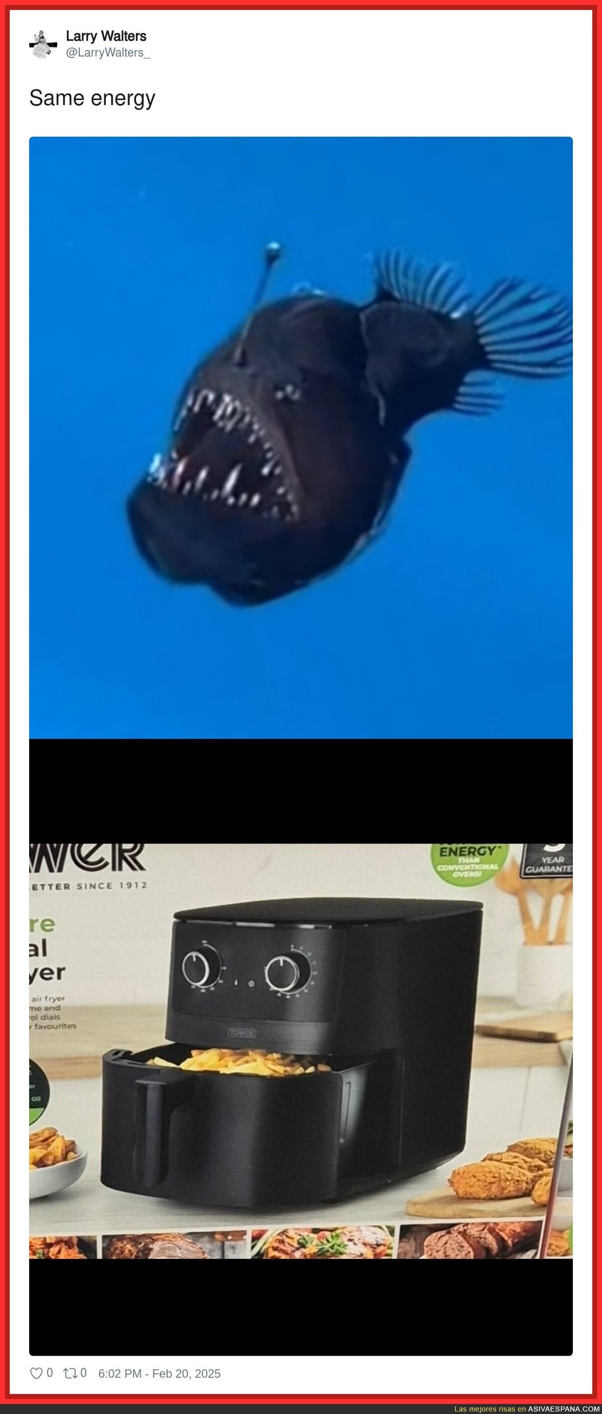 Son tan iguales...