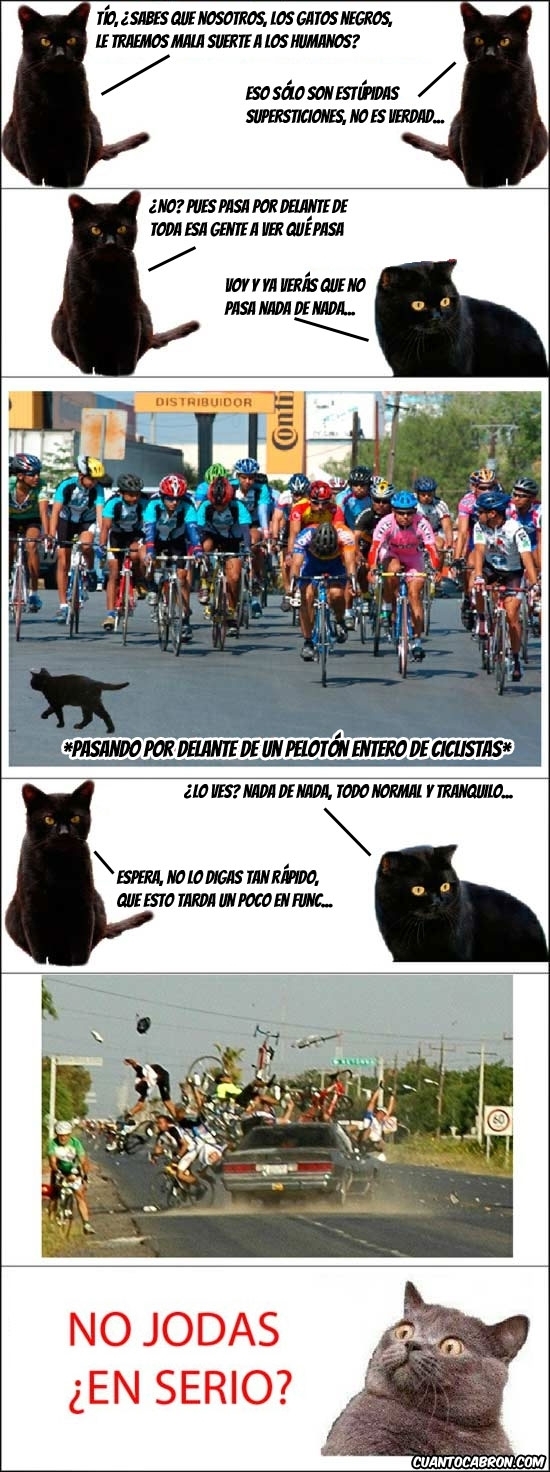 Los Gatos Negros Descubren Su Poder Los Gatos Negros Descubren Su Poder