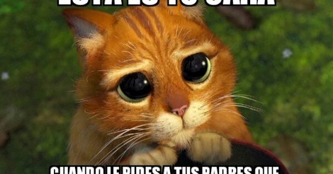 Cuánto cabrón / Lo que nos enseñó el Gato con Botas de Shrek