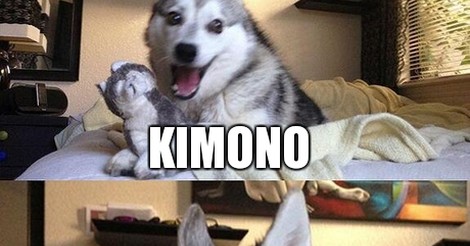 Por Eso Los Japoneses Me Caen Bien