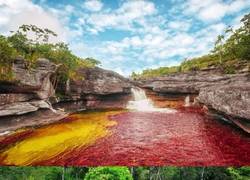 Enlace a A algún lado tenía que ir todo lo que Puke Rainbows no es capaz de mantener dentro de su cuerpo
