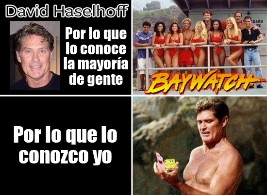 Meme_otros - Pobre Hasselhoff, a lo que se ha visto reducido