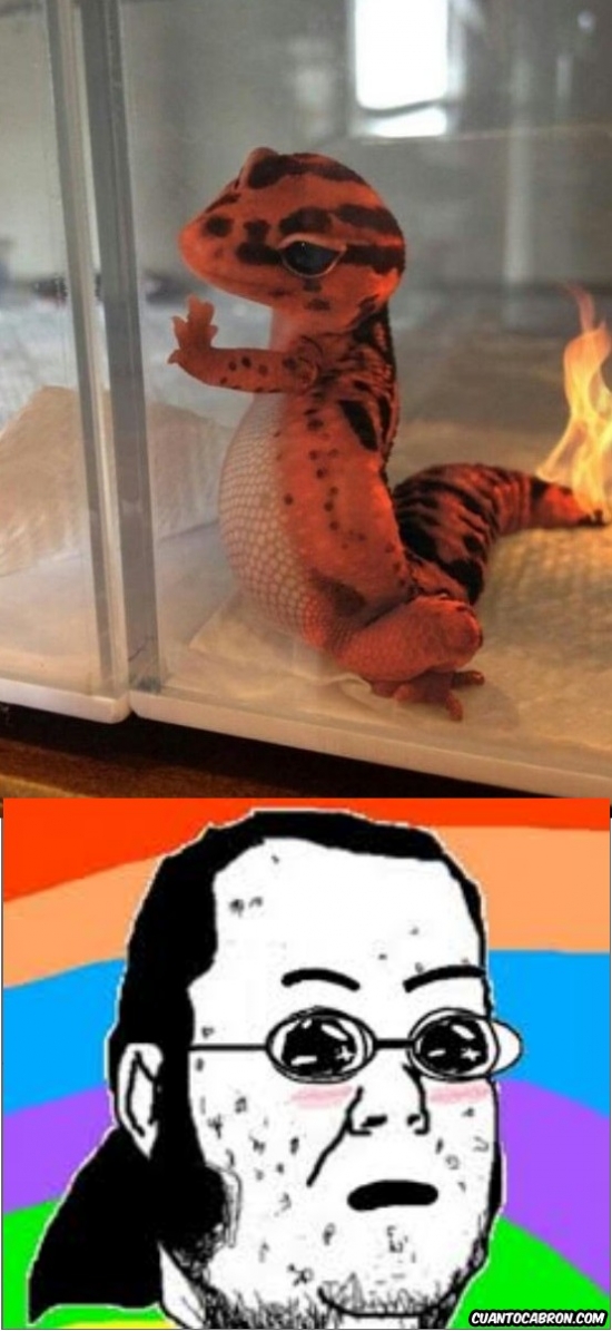 Cuanto Cabron Busqueda De Lagartija En Cuantocabron Com