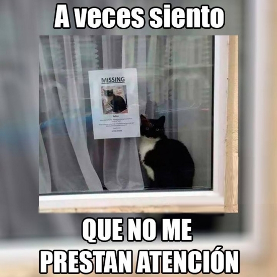 Cuanto Cabron En Esta Casa Nadie Me Hace Caso
