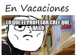 Enlace a La realidad de las vacaciones