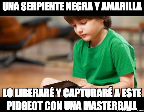 masterball,nintendo 3ds,pidgeot,pokemon,shiny rayquaza