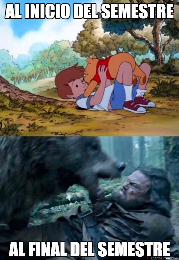 colegio,examenes,Semestre,Vida