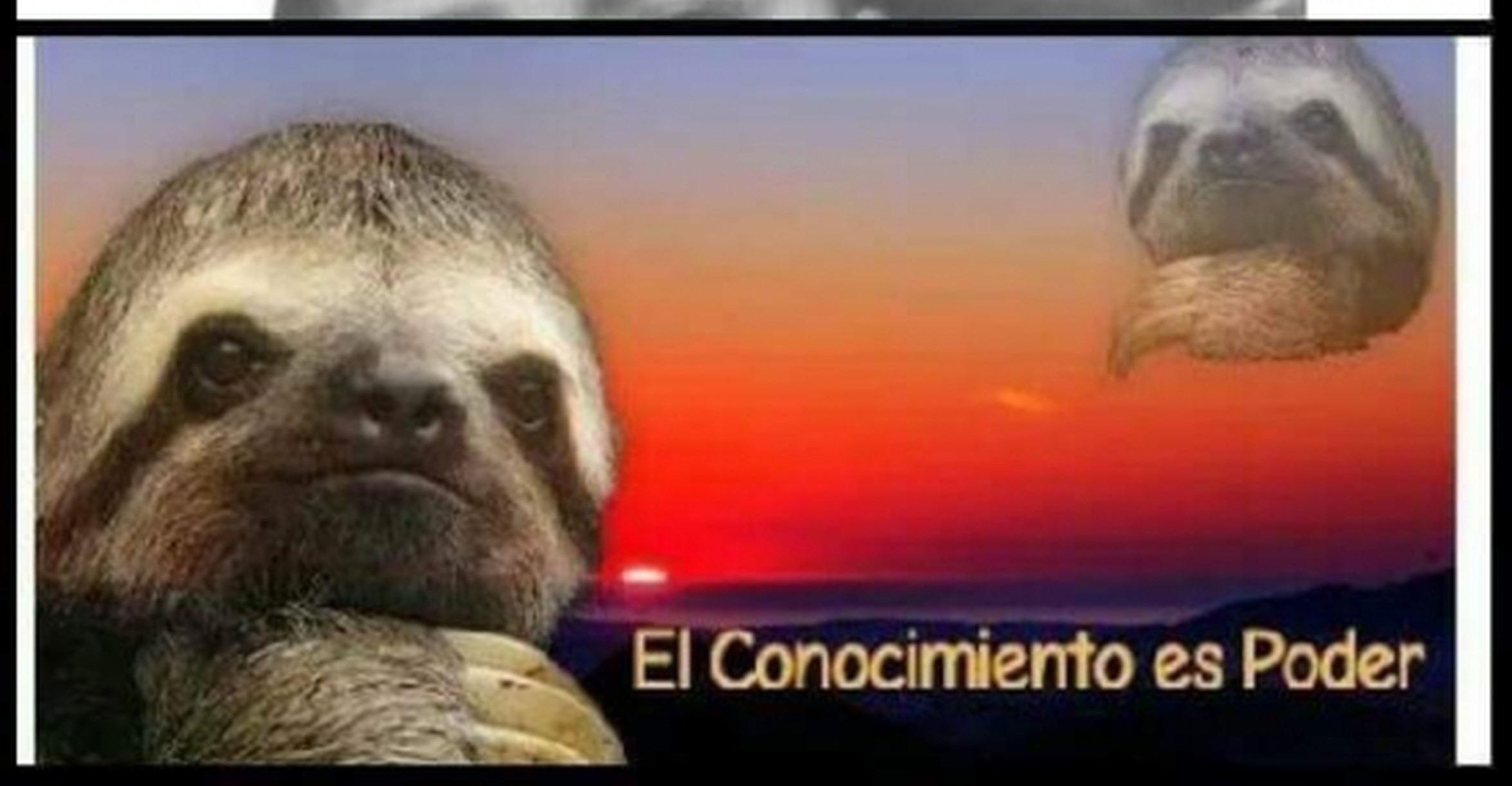 Cunto Cabrn Menos Mal Aclar Porque Nadie Saba Que Era Para Eso Cunto Cabrn Menos Mal Aclar Porque Nadie Saba Que Era Para Eso