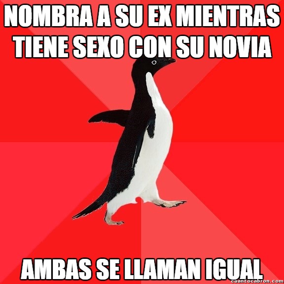 Awesome_penguin - Everything went better than expected