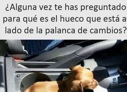 Enlace a ¡Ya tiene su lugar!