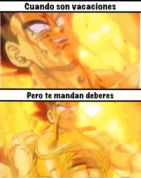 Deberes,Goku,Meme,Nospasaatodos,Vacaciones